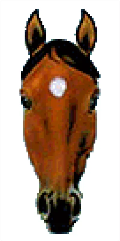 Quel est le nom de cette marque blanche sur la tête ?