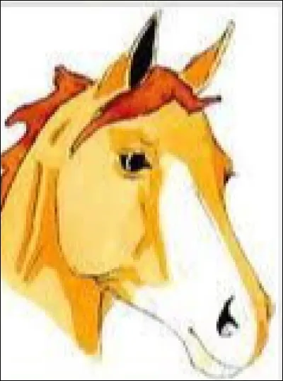 Quel est le nom de cette marque blanche sur la tête ?