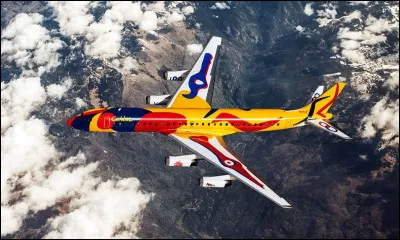 Quel artiste a peint cet avion de la Braniff Airways, baptisé Flying Colors ?