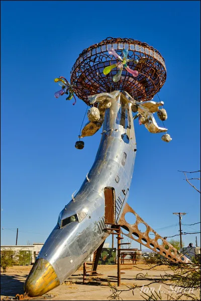 Où peut-on voir cet avion-poisson ?