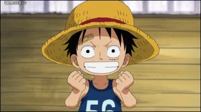 Combien de frères et surs a Luffy ?