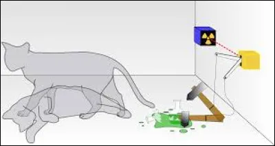 A qui doit-on le chat de Schrödinger ?