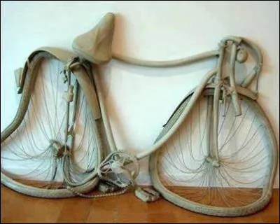 Bike est l'oeuvre d'Erwin Wurm. Que peut-on dire au sujet de cette bicyclette ?