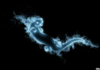 Mon patronus est une loutre :