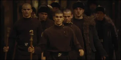 Je suis allée au bal de Noël avec un élève de Durmstrang :