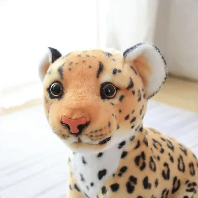 L'indice donne comme titre de film :