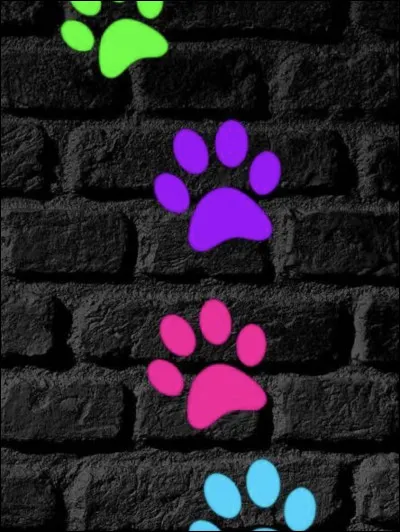 Aimes-tu les animaux ?