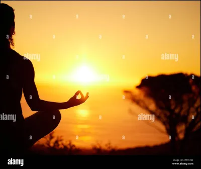 Quel élément préfères-tu ?