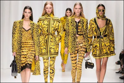 Parmi ces tenues laquelle préfères-tu porter ?