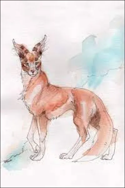 Dans le roman ''Les Syyrs'', comment s'appelle l'animal d'Arutha ?