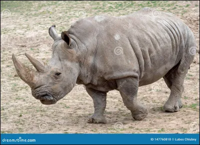 Combien y a-t-il d'espèces différentes ?