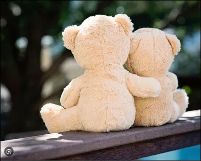 Quelle est la chose la plus importante pour toi dans la vie ?