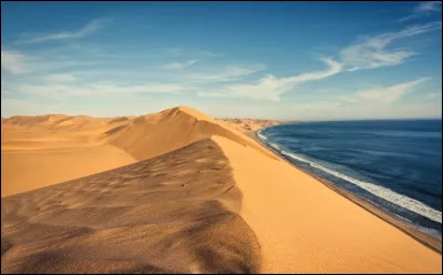 Sur la côte des Squelettes, en Namibie, les conditions météorologiques sont difficiles et l'endroit est éloigné. À cause de cela, que peut-on retrouver au milieu du désert ?
