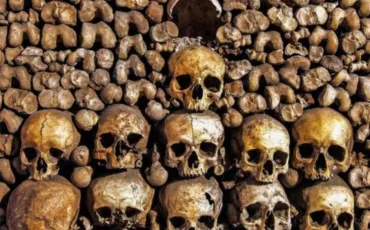 Quiz Monde entier