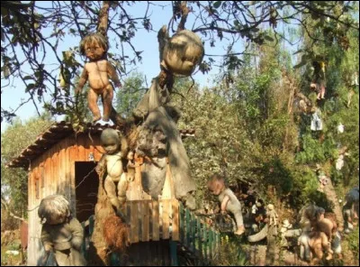 L'île aux poupées se situe près de Mexico, au Mexique. Après la noyade d'une petite fille, un homme qui vivait sur l'île décida d'accrocher sa poupée sur un arbre pour lui rendre hommage. S'en suivirent beaucoup d'autres poupées réparties sur toute l'île. L'homme fût lui aussi retrouvé noyé peu après. Comment dit-on "île aux poupées" en espagnol, la langue locale ?