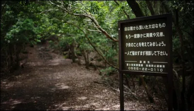 La forêt d'Aokigahara se situe près du Mont Fuji au Japon. Pour quelle sinistre raison est-elle connue ?