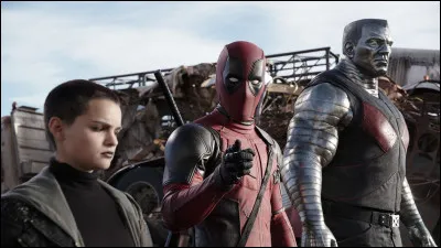 En quelle année est sorti le premier film ?