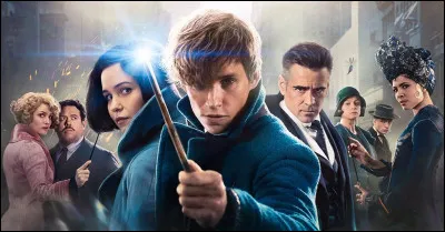 Combien possède-t-elle de films (en juillet 2024) ?