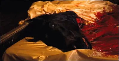 Cette franchise est...