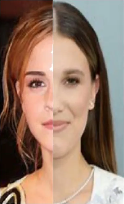 Quels animaux préfères-tu parmi ceux-là ?