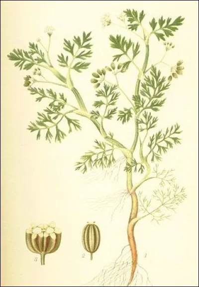 Sous quel autre nom est plus connu Emmanuel Poiré ?