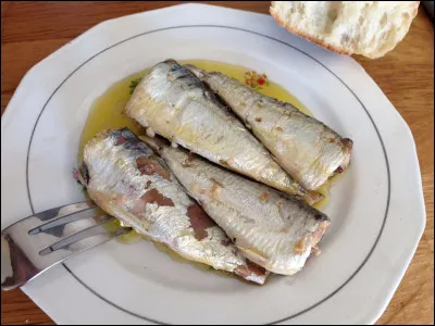 Sardines : quelle peut être leur préparation ?