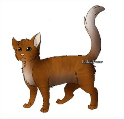 Tige Feuillue : quel couple préfères-tu ?