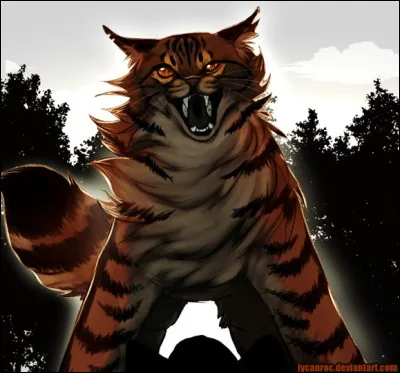 Étoile du Tigre : quel couple préfères-tu ?