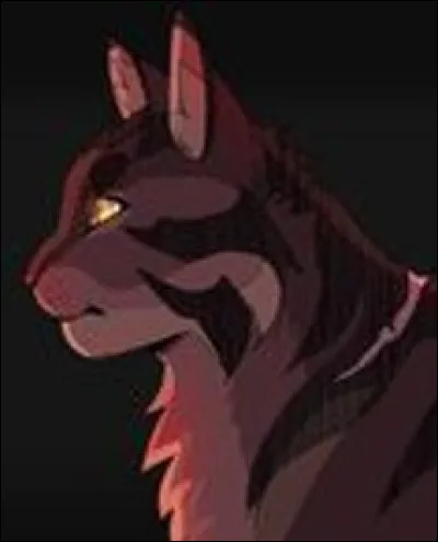 Griffe de Ronce : quel couple préfères-tu ?