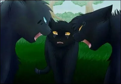 Plume de Jais : quel couple préfères-tu ?