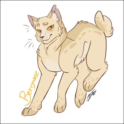 Truffe de Sureau : quel couple préfères-tu ?