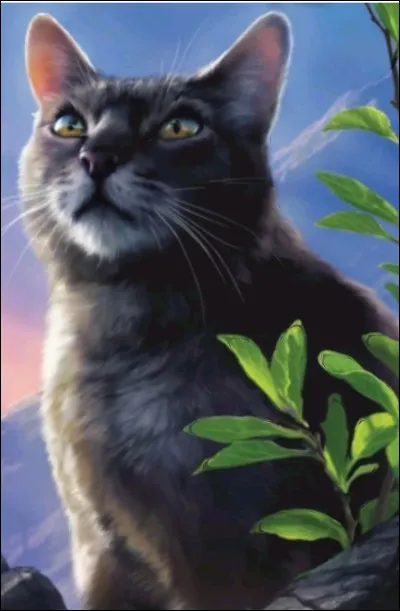 Combien de fois Gris Poil est-il tombé amoureux ?