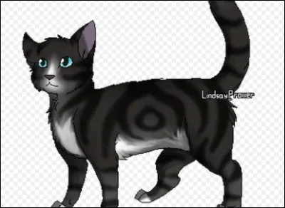 Griffe d'Ébène est mâle ou femelle ?