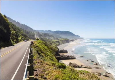 Comment les chats appellent-ils une route ?