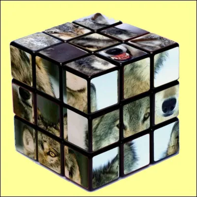 Quel indice pour trouver la bonne réponse ?