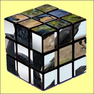 Quel indice pour trouver la bonne réponse ?