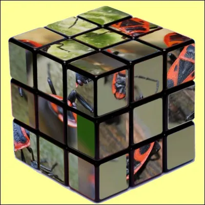 Quel indice pour trouver la bonne réponse ?