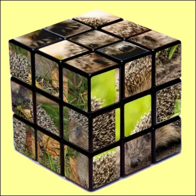 Quel indice pour trouver la bonne réponse ?