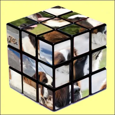 Quel indice pour trouver la bonne réponse ?