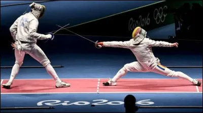 Est-ce que tous les sports sont représentés ?