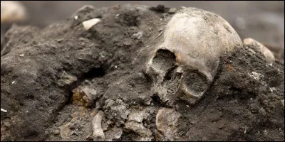 Pendant quel siècle la peste, aussi appelée la mort noire, a-t-elle sévi en Europe ?