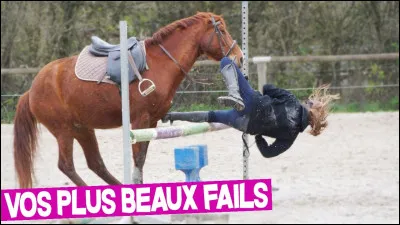 Quel cavalier es-tu ?