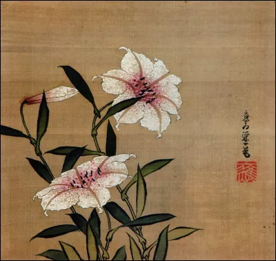 Elle s'appelait Oi Hokusai et et a peint ces fleurs de lys japonais ? Comment s'appelait son père ?