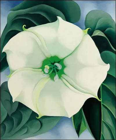 Georgia O'Keeffe a peint La Fleur blanche. Son mari était photographe et galeriste. Qui était-ce ?