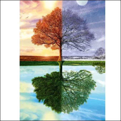 Tu aimes quand c'est...