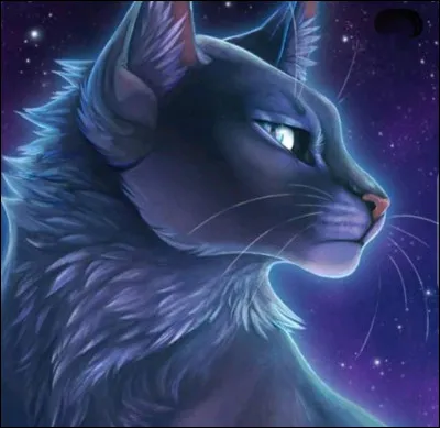 Quel est le nom de la s&oelig;ur d'Étoile Bleue ?