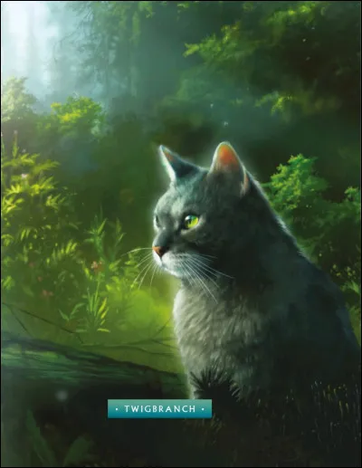 Dans quel Clan vit Branche Fleurie ?