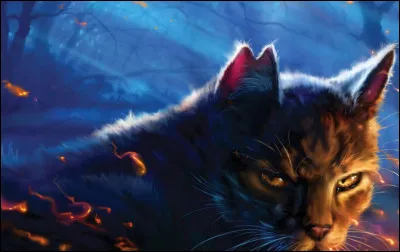 Qui était le mentor d'Étoile de Tigre ?