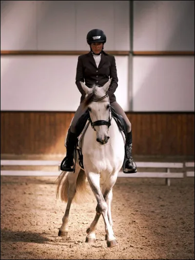Quelle est cette figure de dressage ?