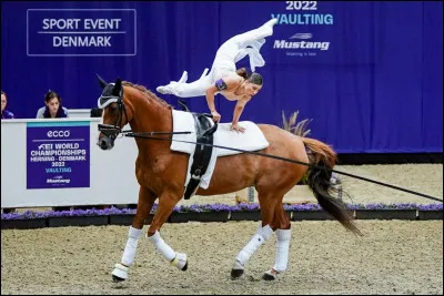 Les muscles striés squelettiques rouges ont pour fonction :